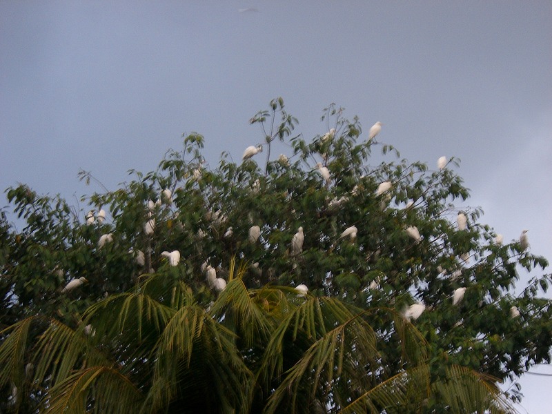 b0101284_0241614.jpg