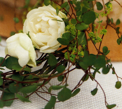 d0092990_1555970.jpg