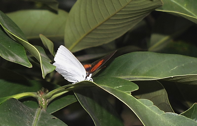 b0078795_2033511.jpg