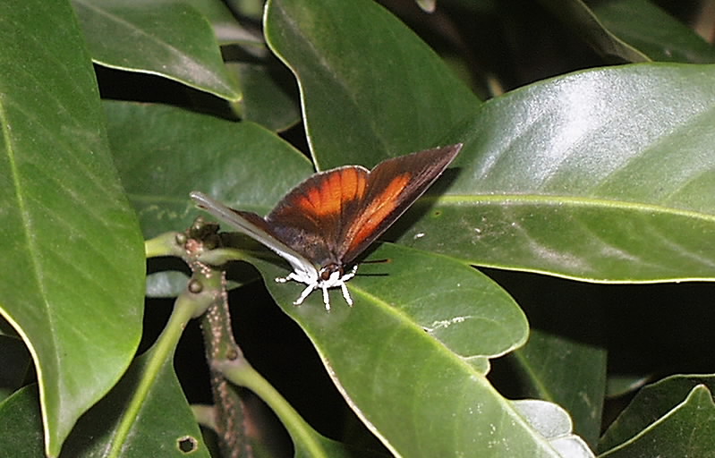 b0078795_2035051.jpg