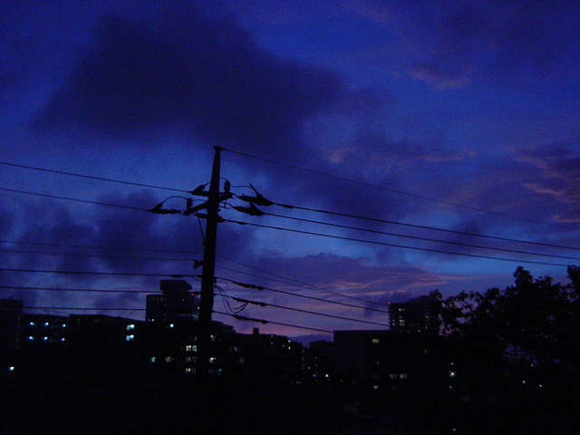 e0028401_19374437.jpg