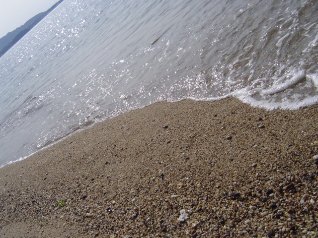 c0006904_1562753.jpg