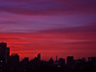 f0056516_2048992.jpg