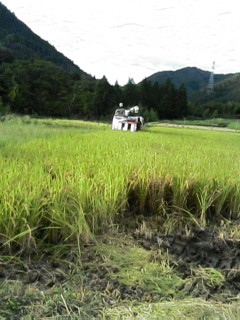 f0096416_21161383.jpg