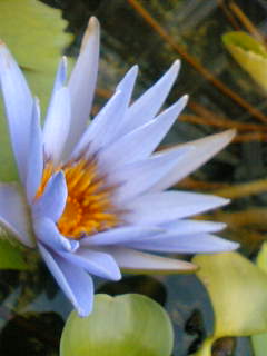 d0024220_18282912.jpg