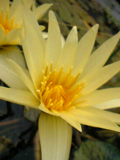 d0024220_18293375.jpg