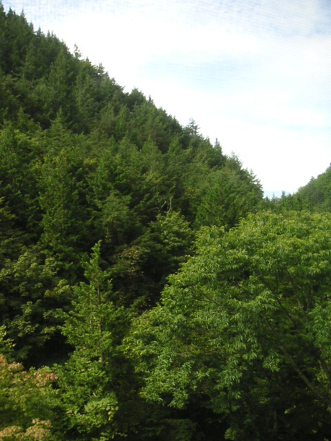 b0007421_21423398.jpg