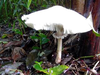 f0000521_10111520.jpg