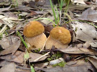 f0000521_10142271.jpg