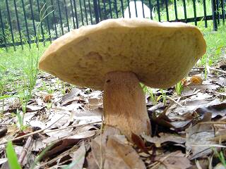 f0000521_10171498.jpg