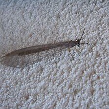 f0000521_958367.jpg