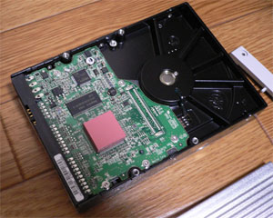 a0003824_2414974.jpg