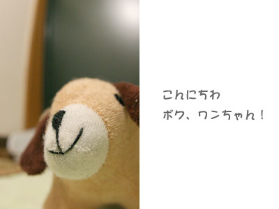 d0036630_1417730.jpg