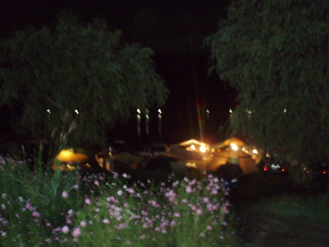 c0035931_15504875.jpg