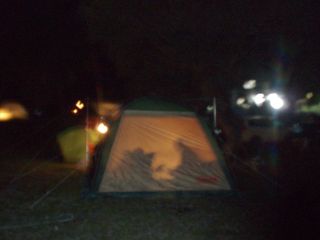 c0035931_1552418.jpg
