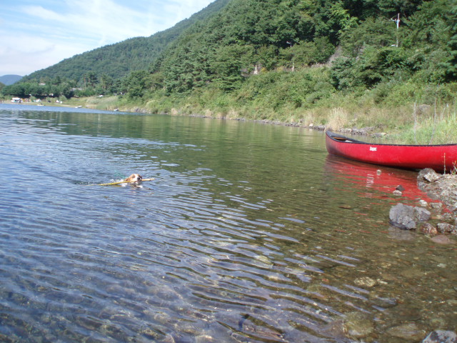 c0035931_1803163.jpg