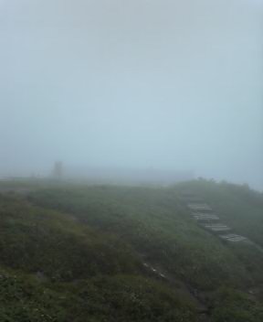 c0089831_11224596.jpg