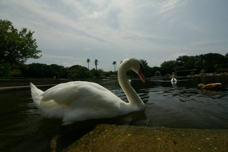 d0032931_02693.jpg