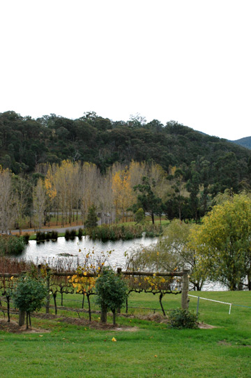 d0008146_22375793.jpg