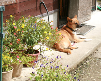 a0054948_13511733.jpg