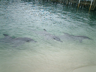 f0045956_23302888.jpg