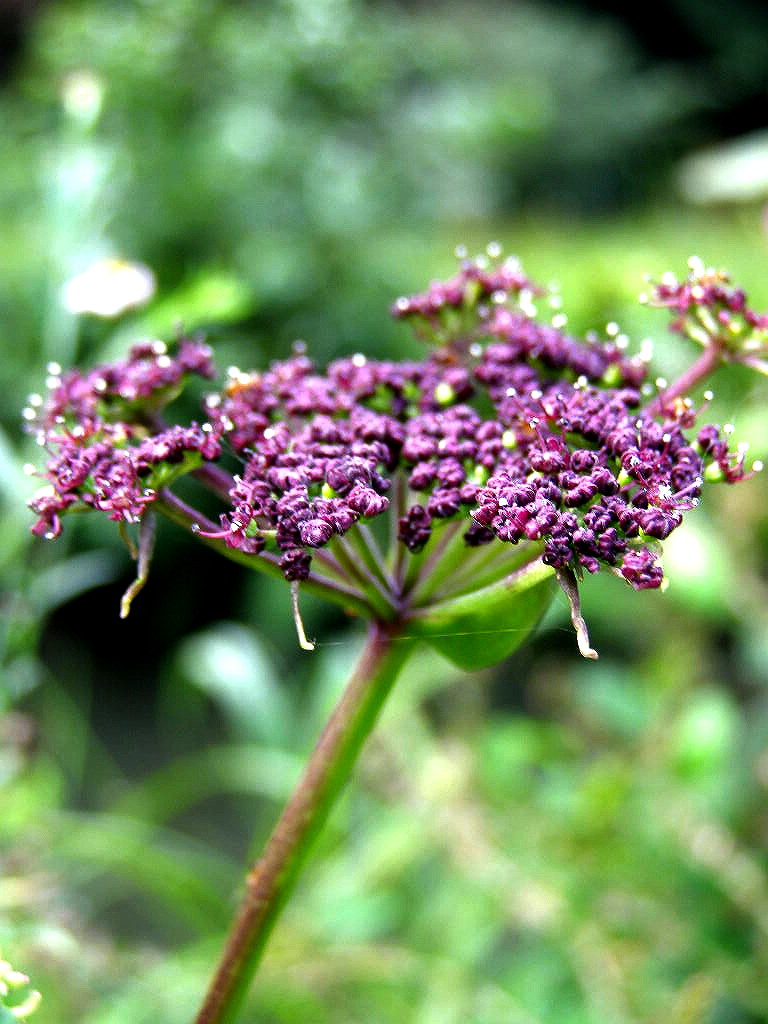 e0064158_0122517.jpg