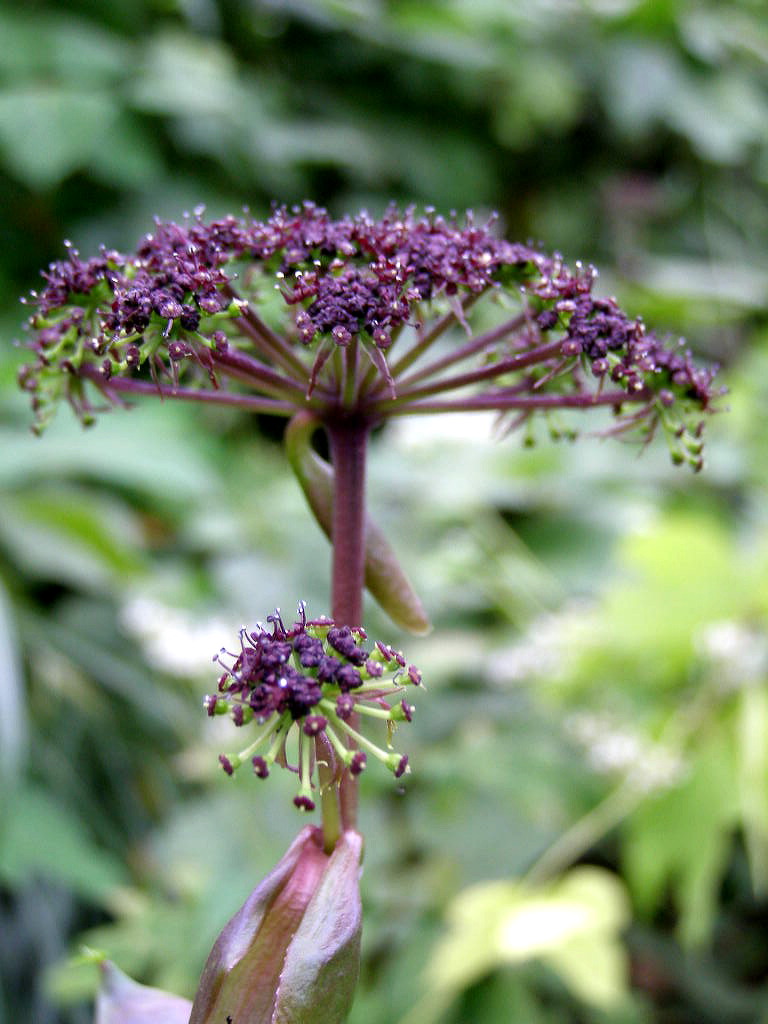 e0064158_01331.jpg