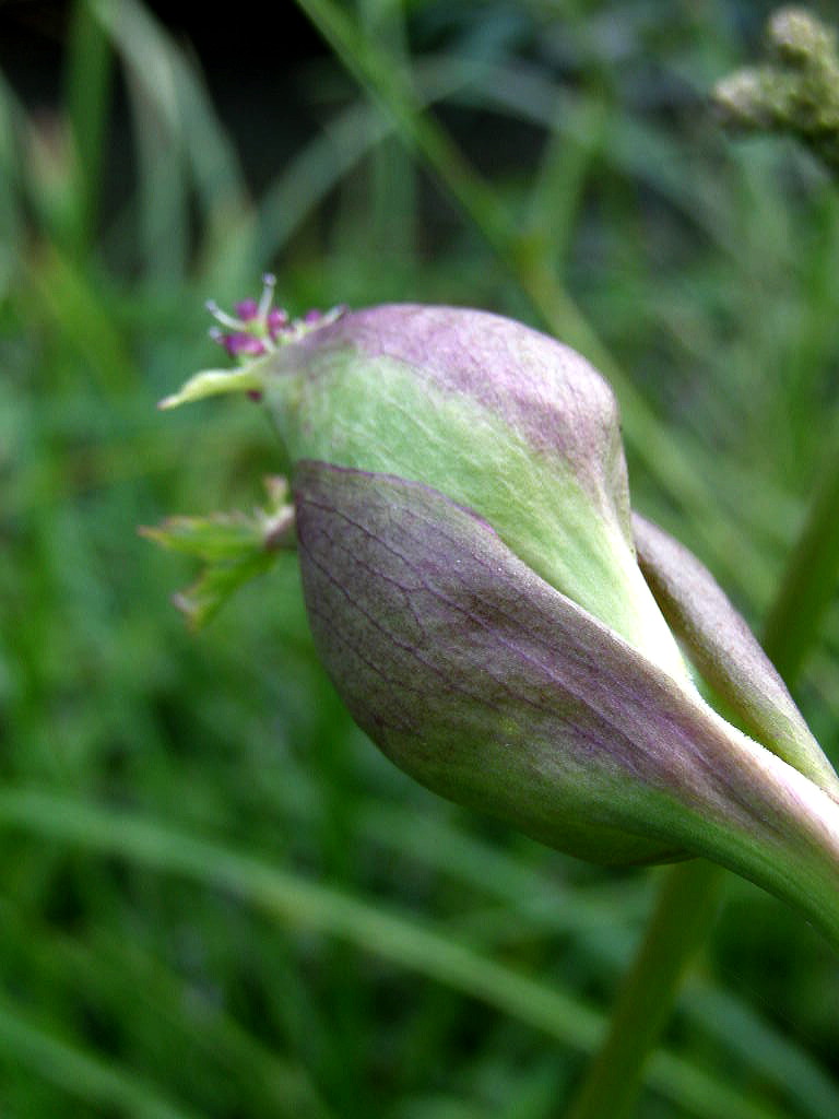 e0064158_0133175.jpg