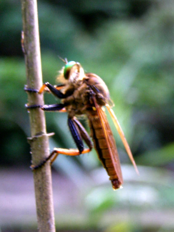 e0064158_015474.jpg