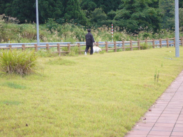 f0057565_23523710.jpg