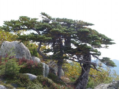 d0025568_142532.jpg