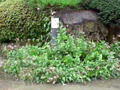 f0086169_17201661.jpg