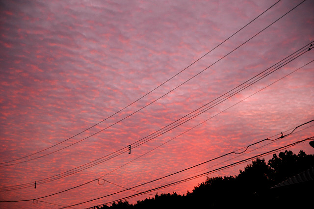 c0026870_8455661.jpg