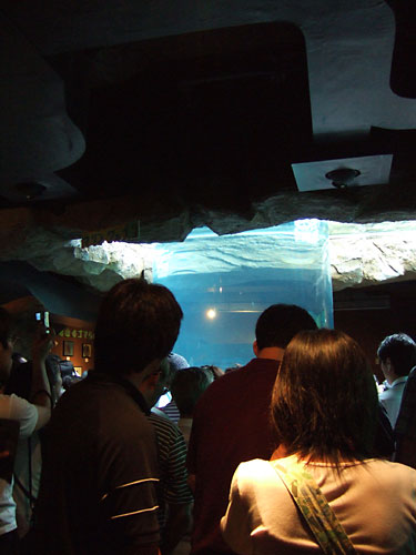 b0048571_11331291.jpg