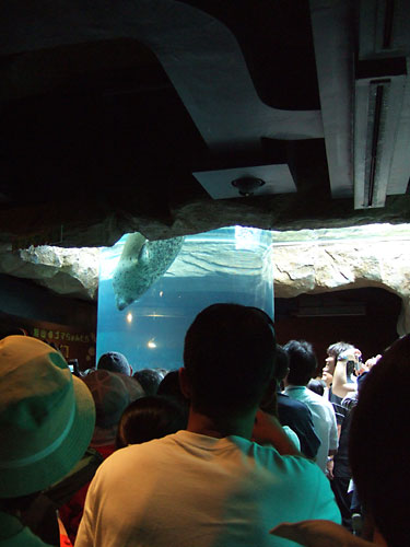 b0048571_11332481.jpg