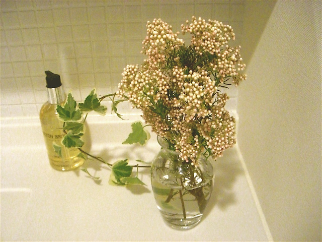 e0018777_21384049.jpg