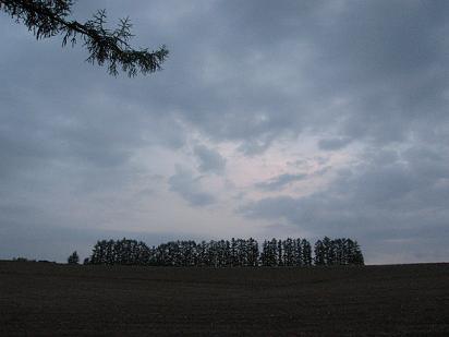 c0052779_20265377.jpg