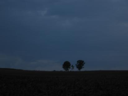 c0052779_20283414.jpg