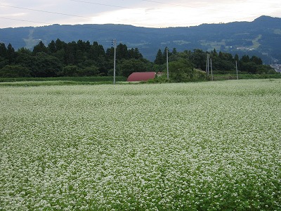 a0038882_22194354.jpg