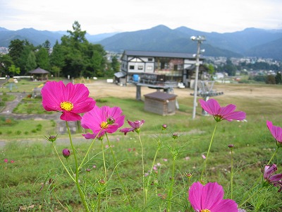 a0038882_22233435.jpg