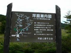 b0042882_23134299.jpg
