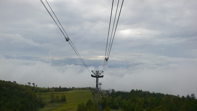 b0042882_2391213.jpg