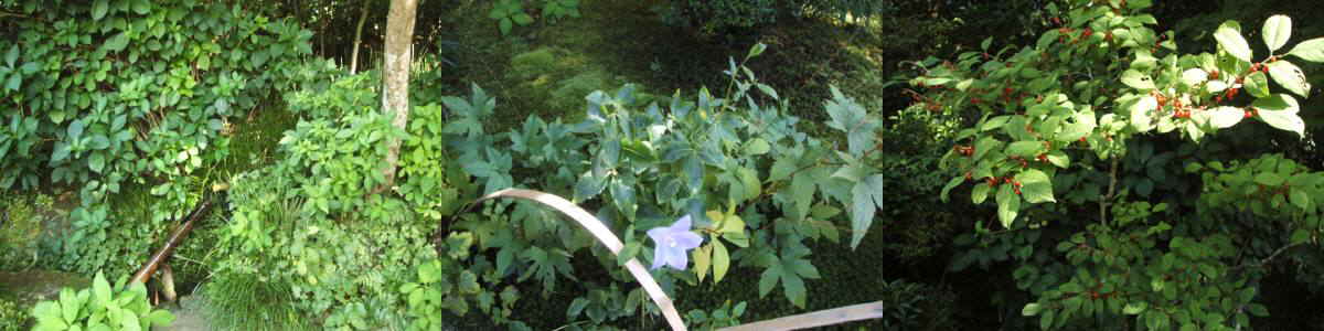e0081584_2202732.jpg