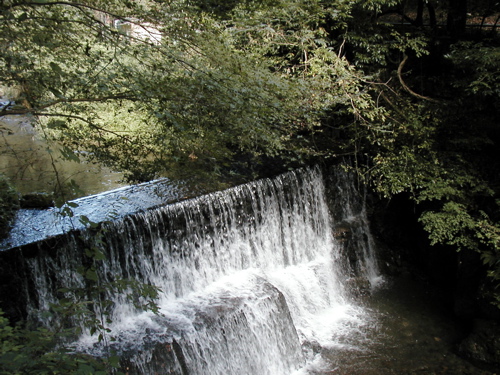 a0079292_854443.jpg
