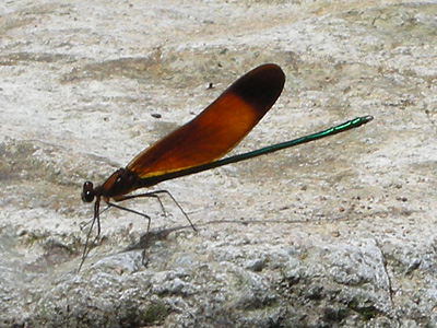 c0060593_2254097.jpg