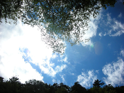 c0060593_2274844.jpg