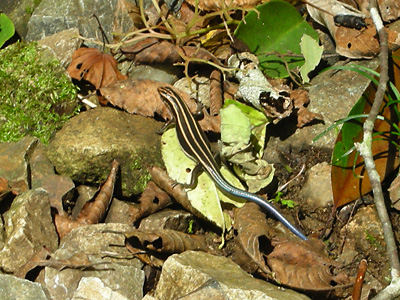 c0060593_2281811.jpg