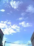 a0002201_10404578.jpg