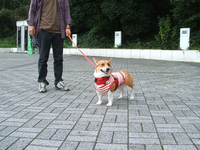 a0024004_1356170.jpg