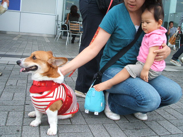 a0024004_13563222.jpg